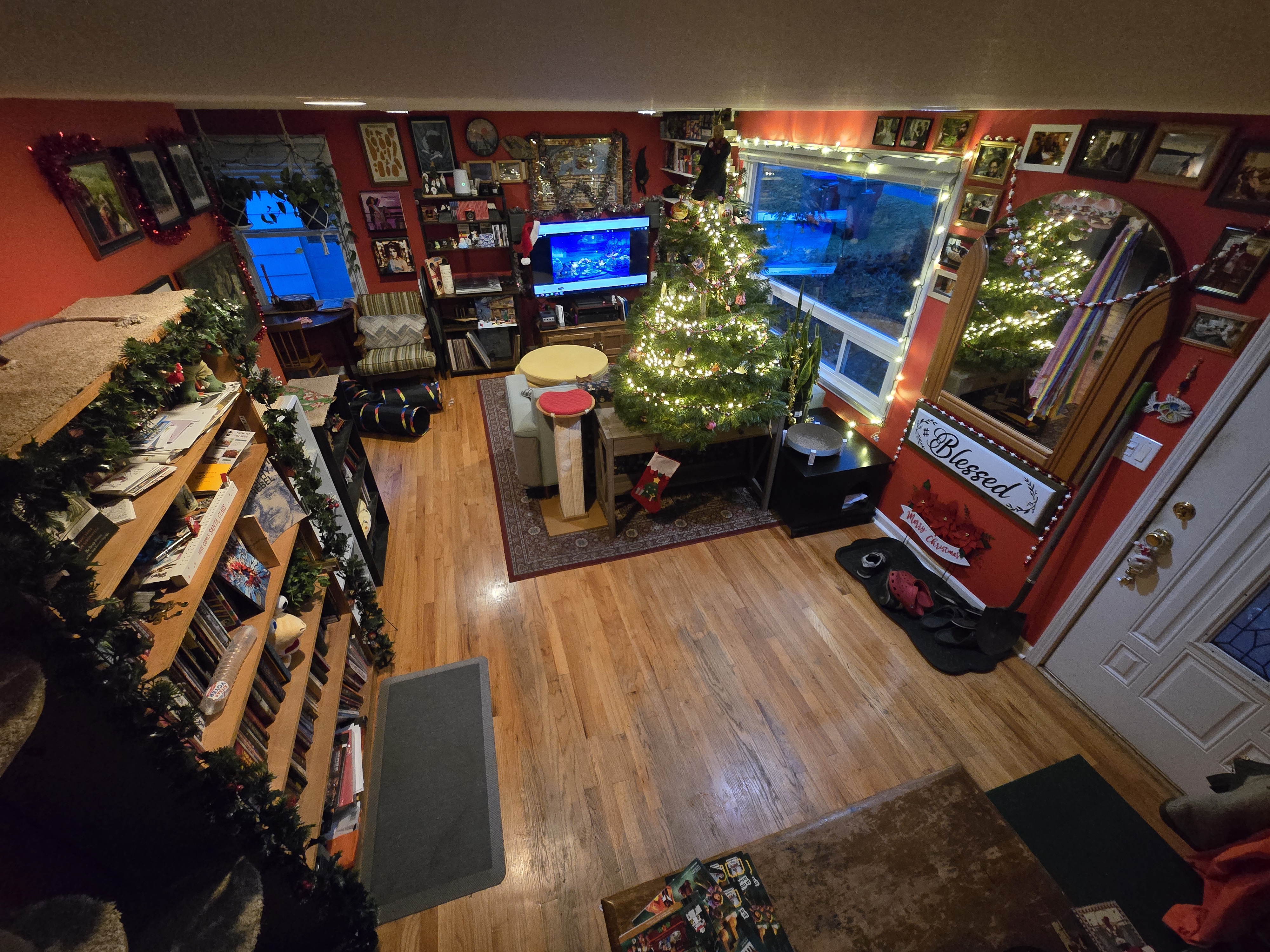 Living room in 2025. This year's tree is much smaller, and placed on the table in the center of the room rather than in its corner, and we replaced our couch with a new one! 
