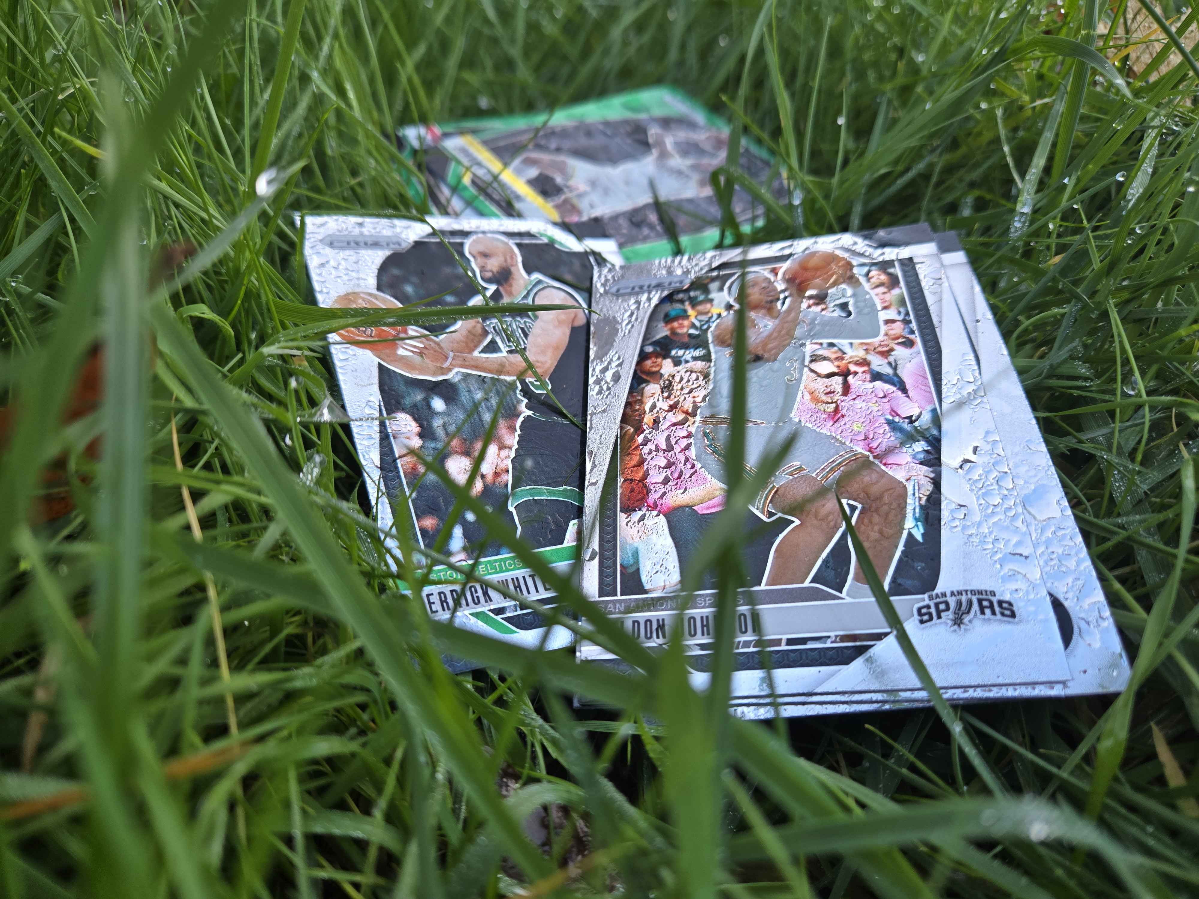 More wet cards in grass